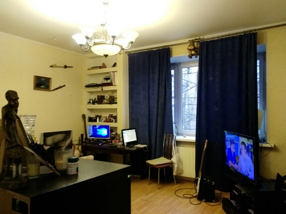 1-комнатная квартира, 50 м² - фото 2