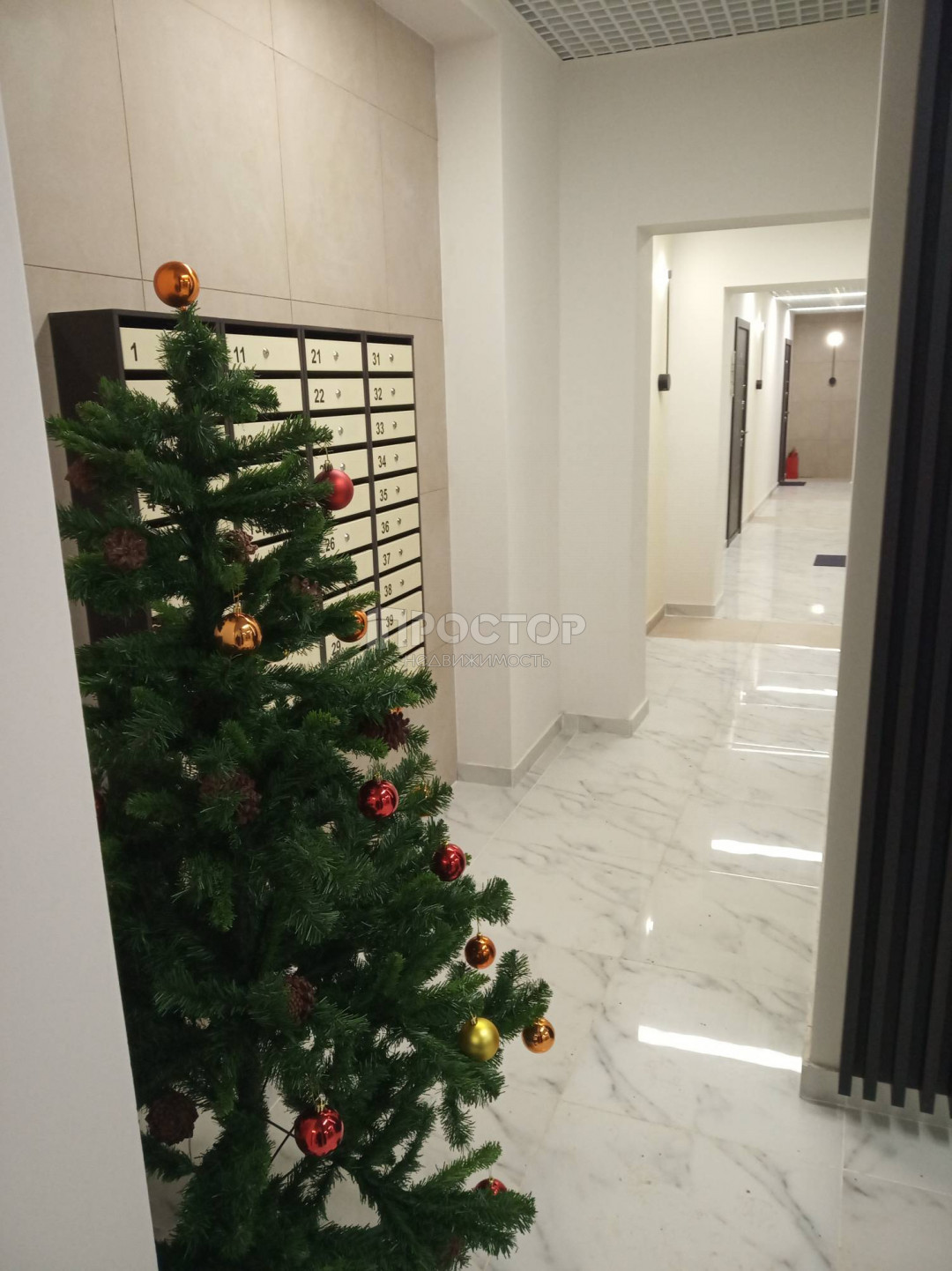 Студия, 15.7 м² - фото 5