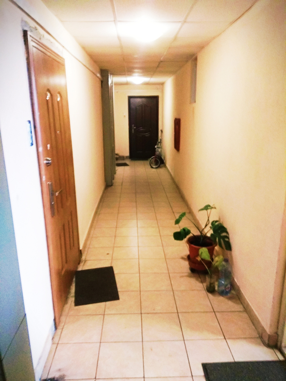 2-комнатная квартира, 48 м² - фото 3