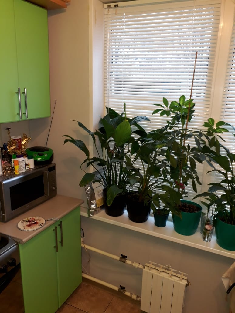 2-комнатная квартира, 45.7 м² - фото 9