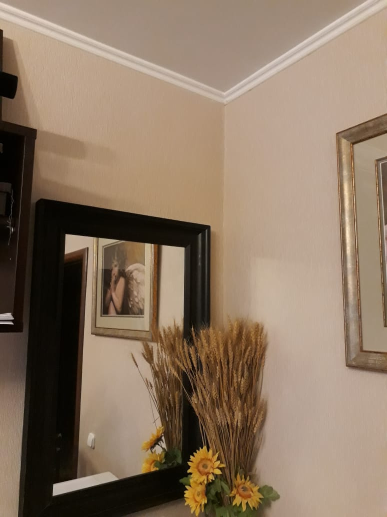 2-комнатная квартира, 45.7 м² - фото 4