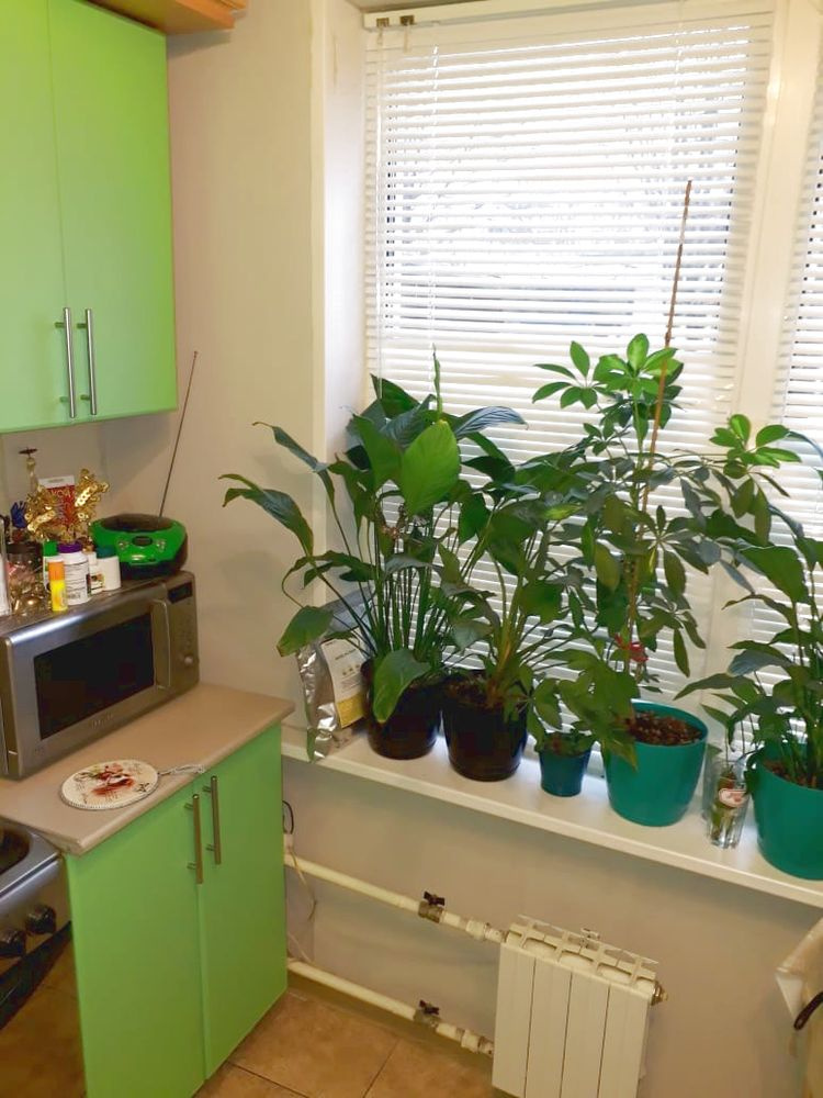 2-комнатная квартира, 45.7 м² - фото 4