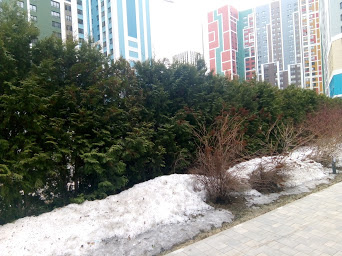 1-комнатная квартира, 43 м² - фото 8