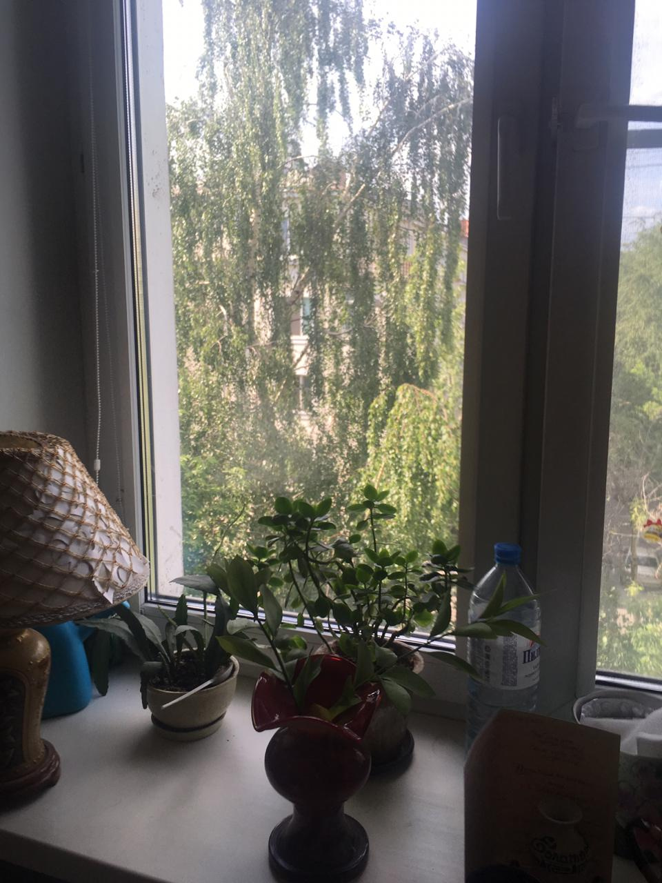 1-комнатная квартира, 30 м² - фото 13