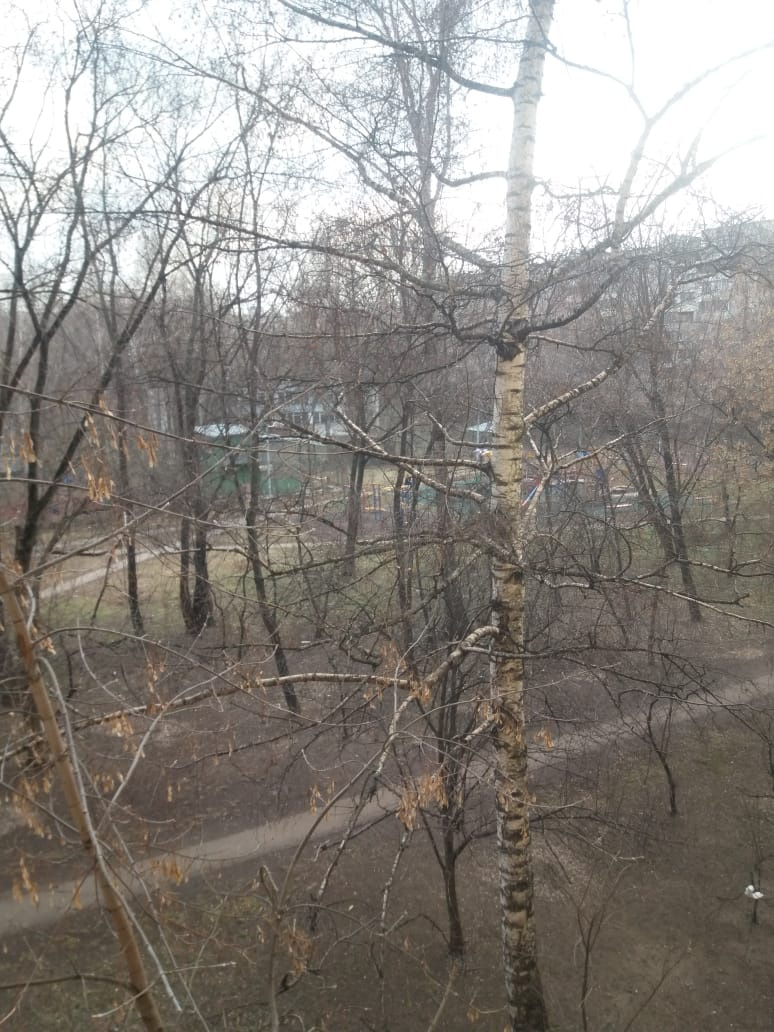 3-комнатная квартира, 60 м² - фото 4
