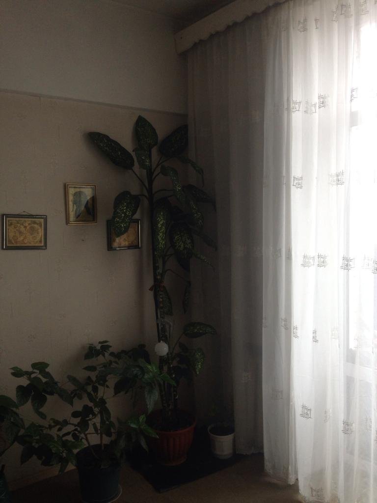 2-комнатная квартира, 54.4 м² - фото 3