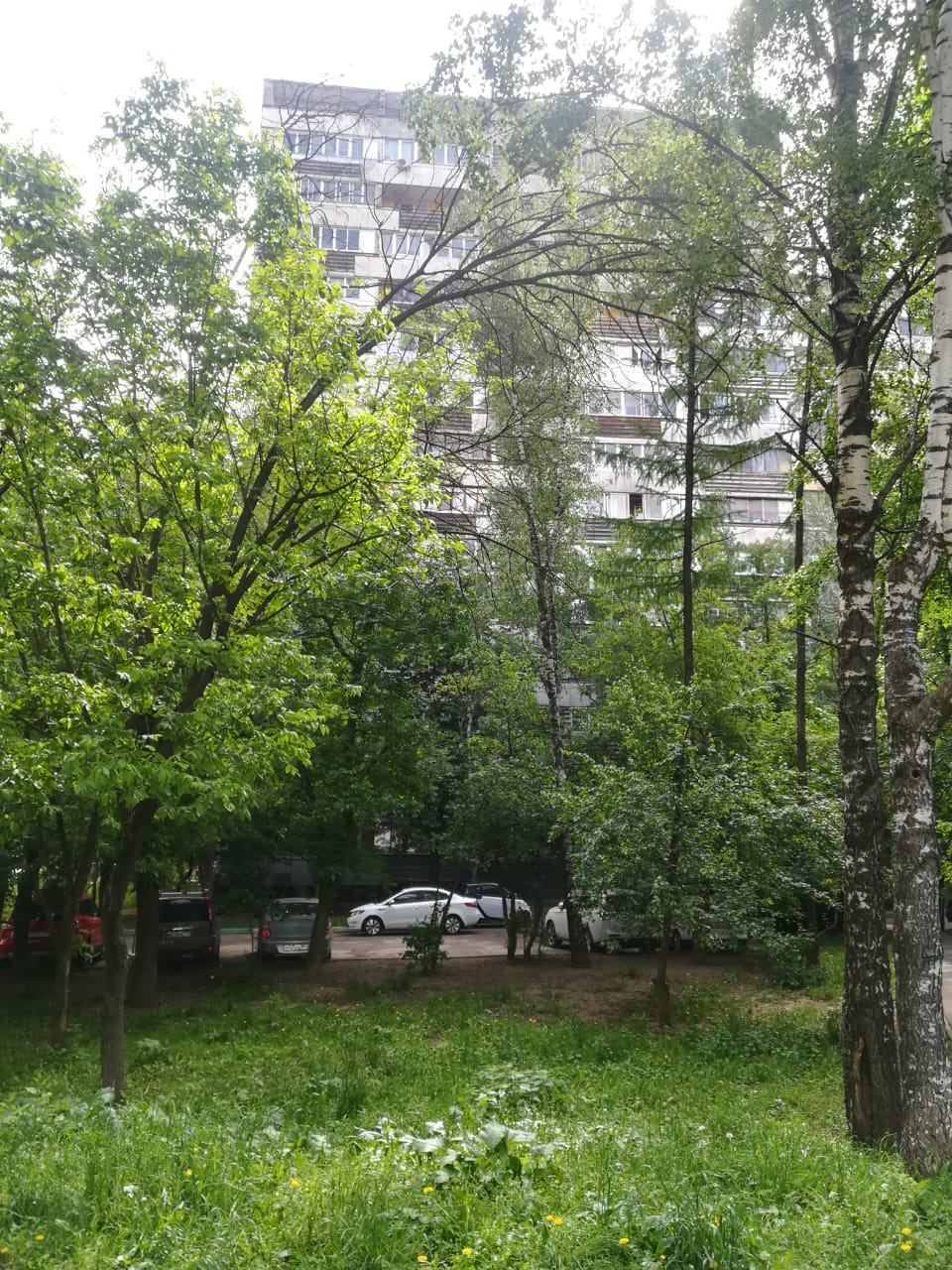 1-комнатная квартира, 38.2 м² - фото 4