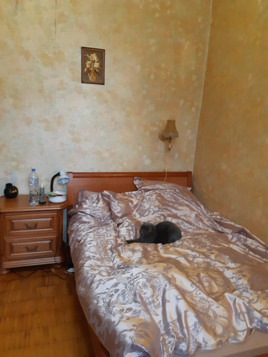 3-комнатная квартира, 81 м² - фото 5