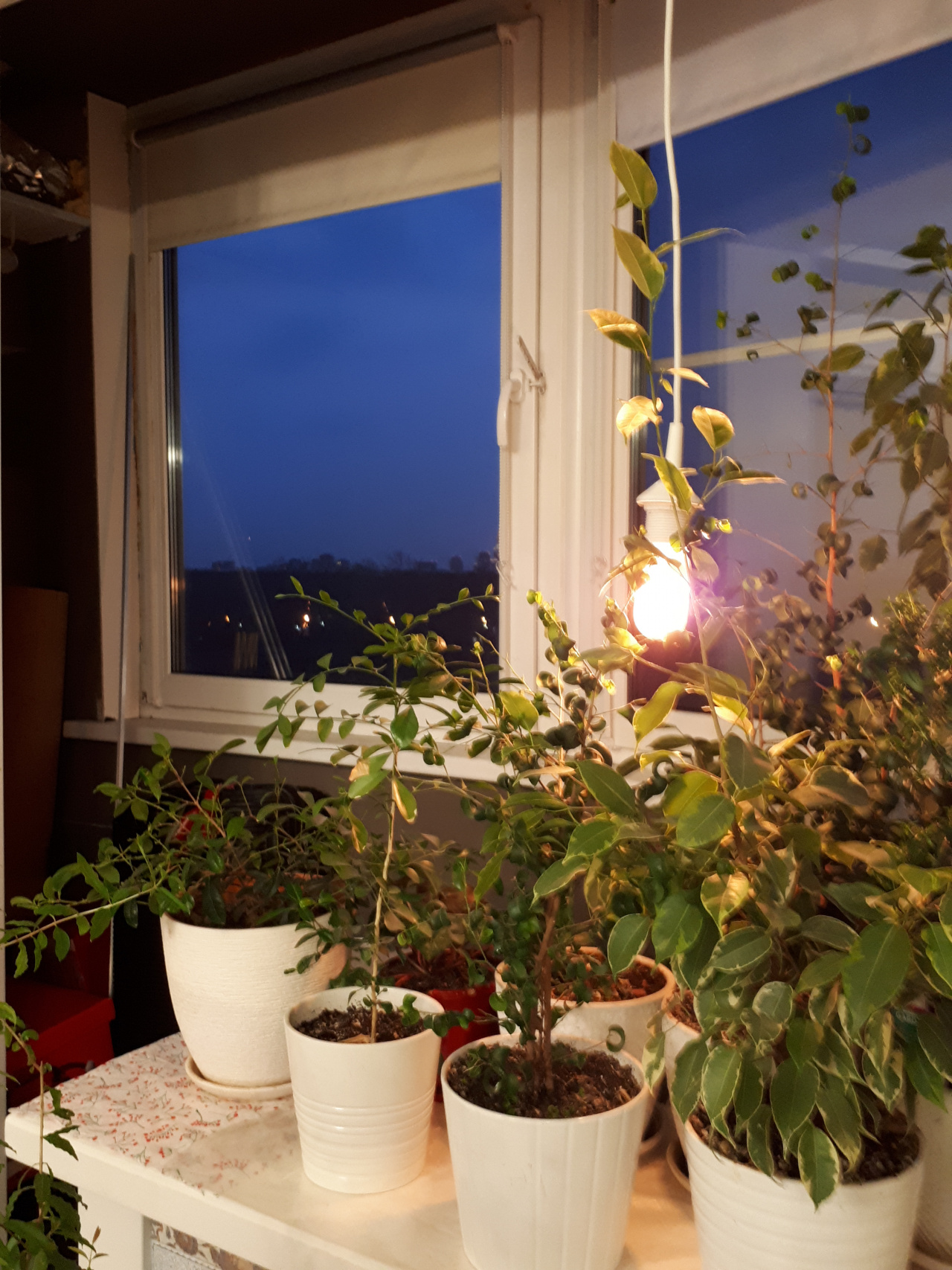 2-комнатная квартира, 40 м² - фото 4