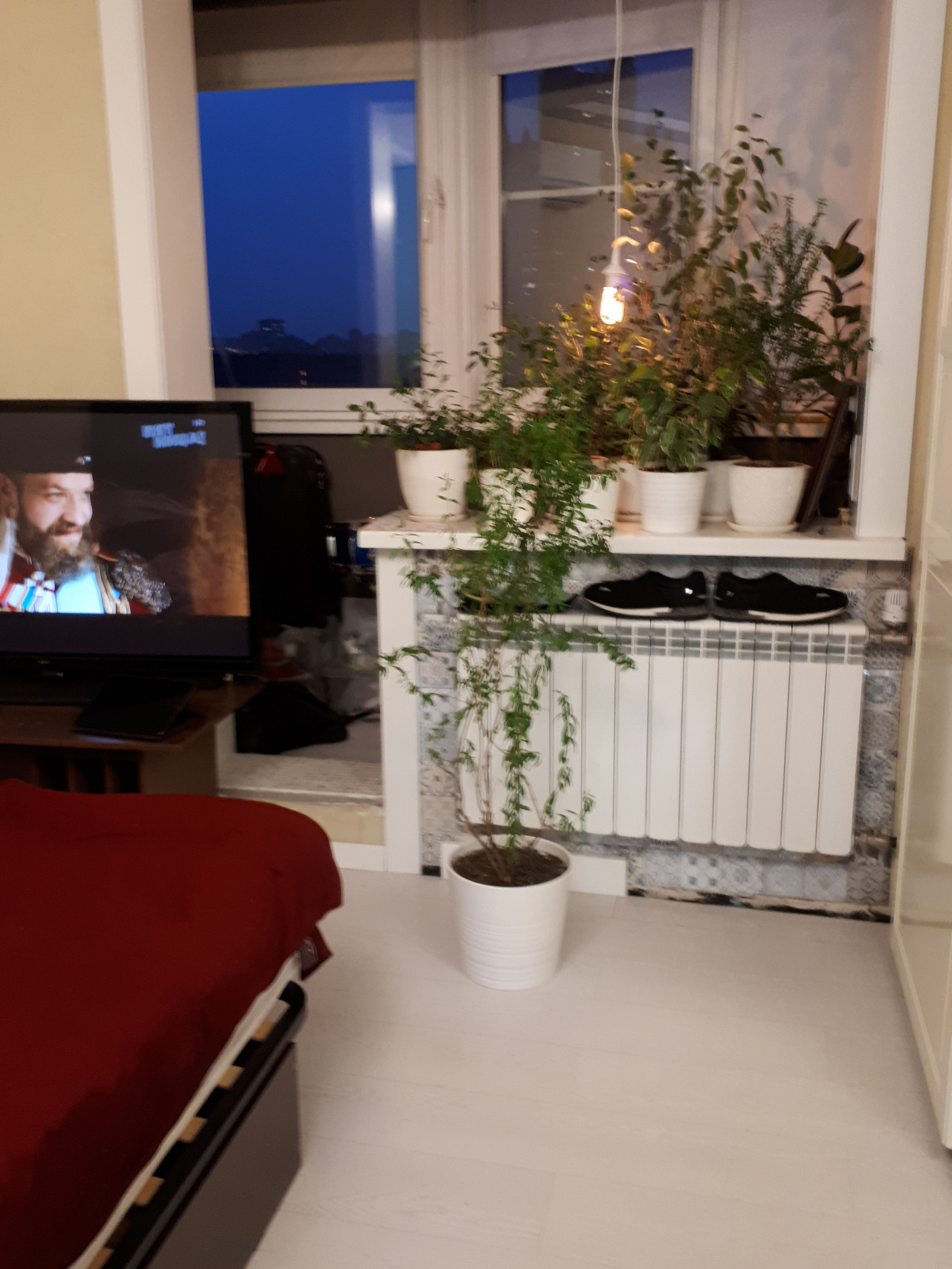 2-комнатная квартира, 40 м² - фото 3