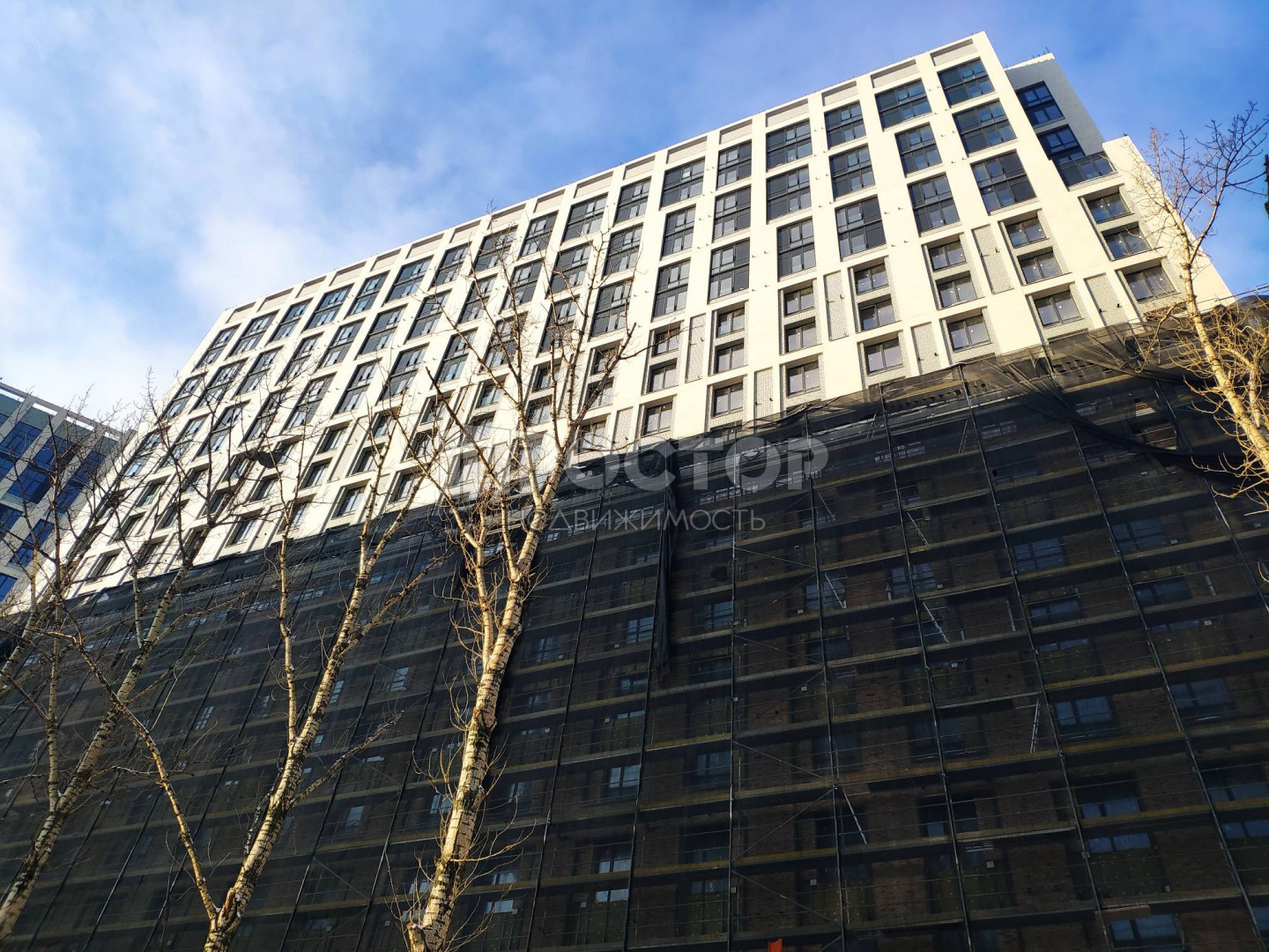 3-комнатная квартира, 81 м² - фото 11