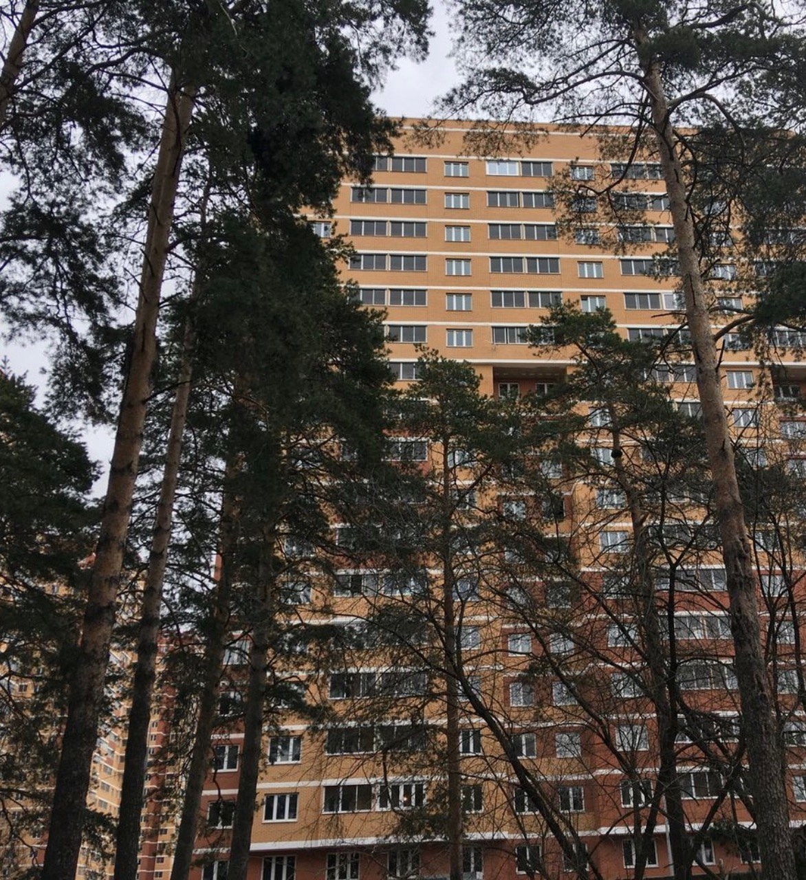 1-комнатная квартира, 44.7 м² - фото 2