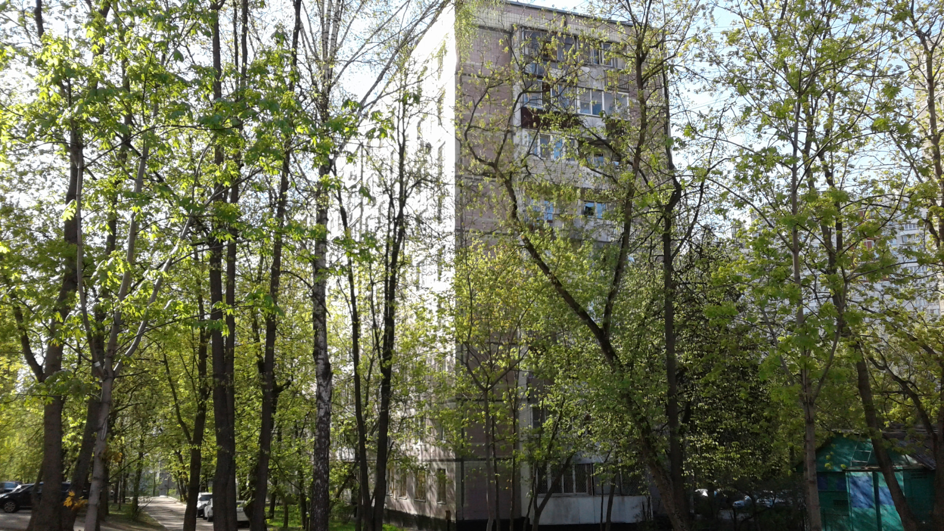 1-комнатная квартира, 32.5 м² - фото 20