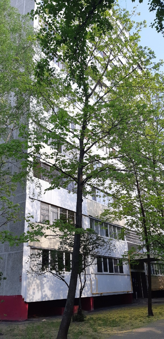 2-комнатная квартира, 46 м² - фото 6