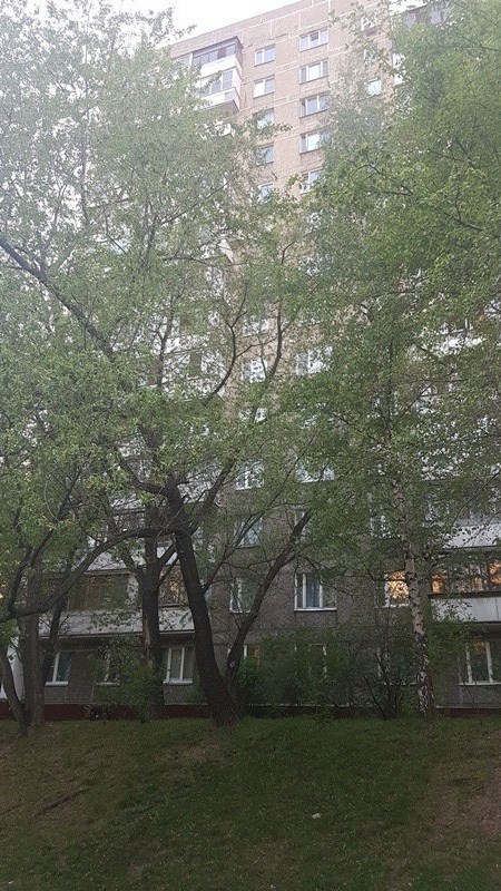 2-комнатная квартира, 43 м² - фото 3