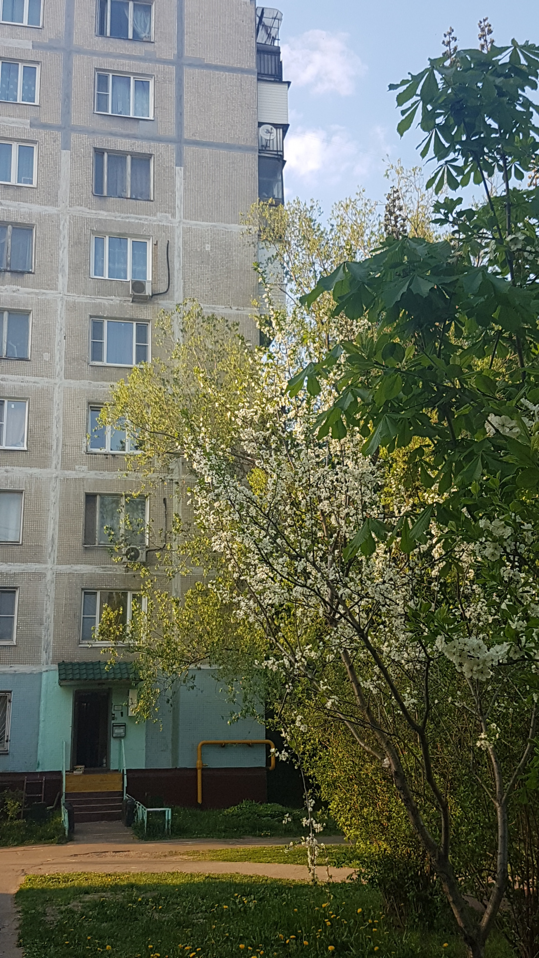 2-комнатная квартира, 42 м² - фото 5