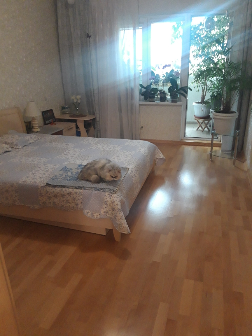 3-комнатная квартира, 93.3 м² - фото 18