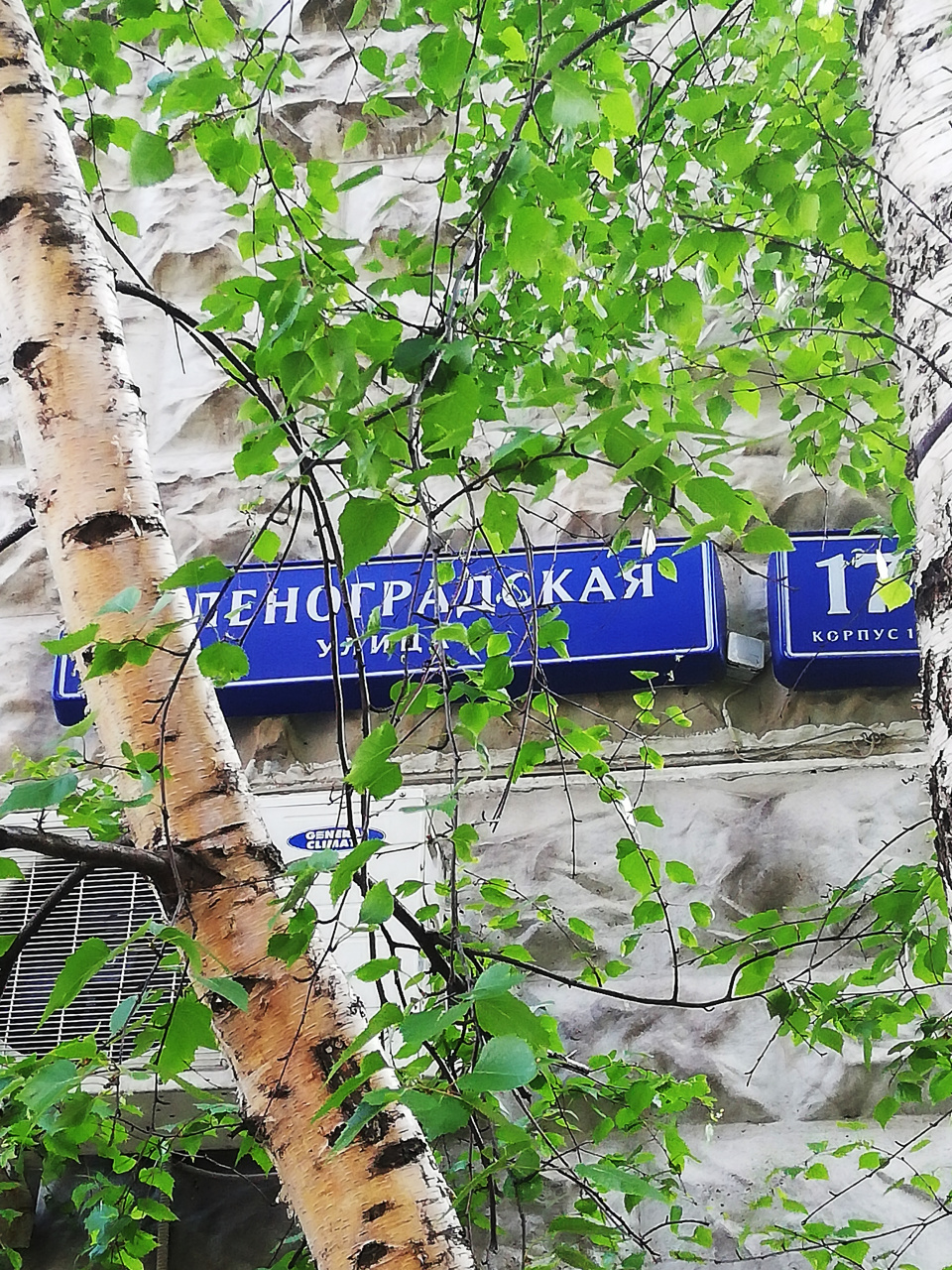 3-комнатная квартира, 74 м² - фото 10
