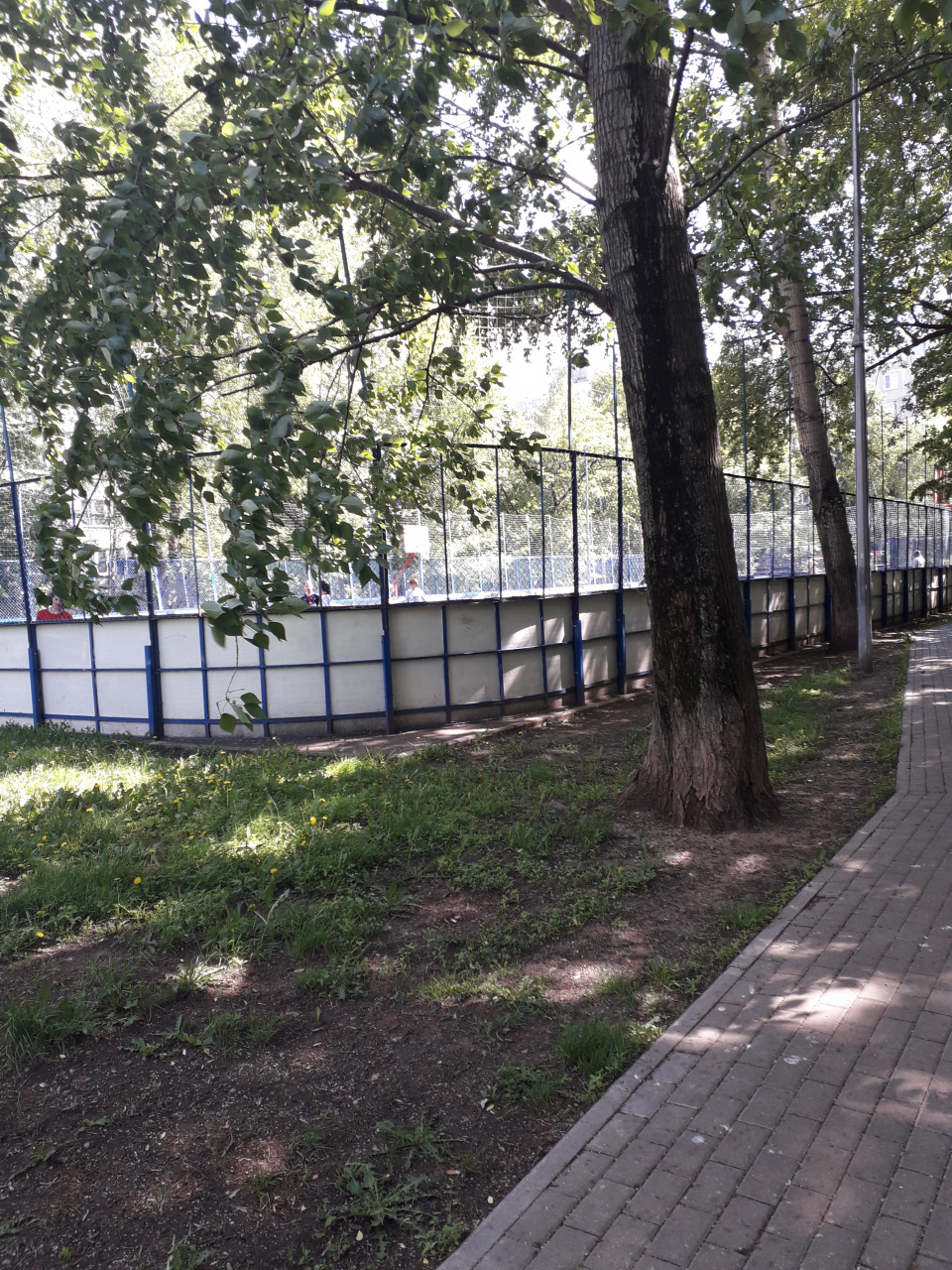 2-комнатная квартира, 46 м² - фото 5