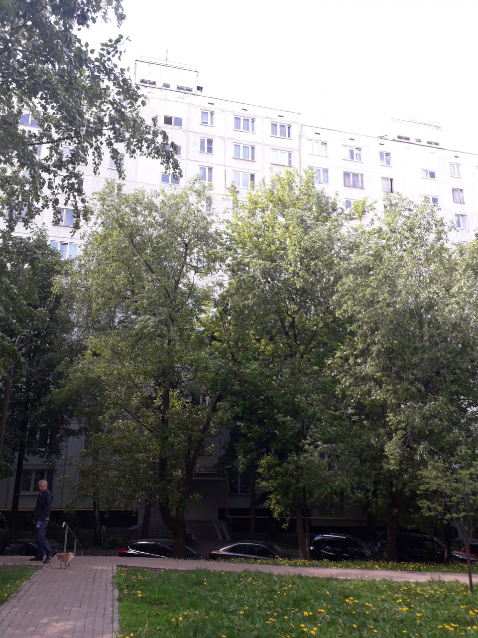 2-комнатная квартира, 46 м² - фото 2