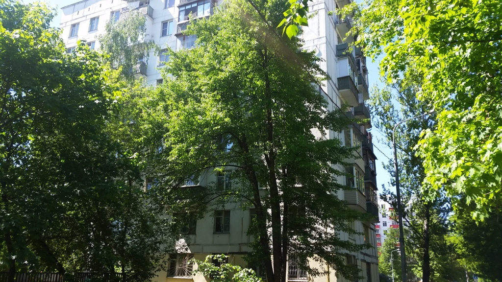 2-комнатная квартира, 44.3 м² - фото 3