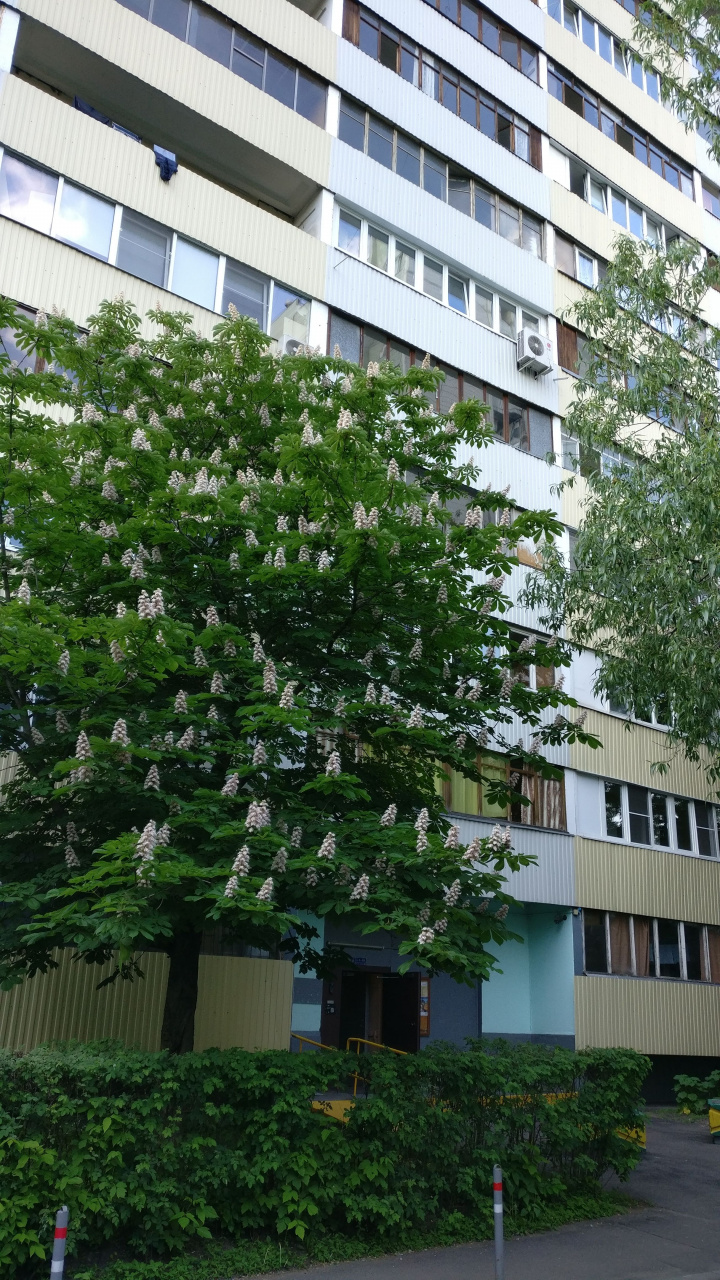1-комнатная квартира, 37.6 м² - фото 3