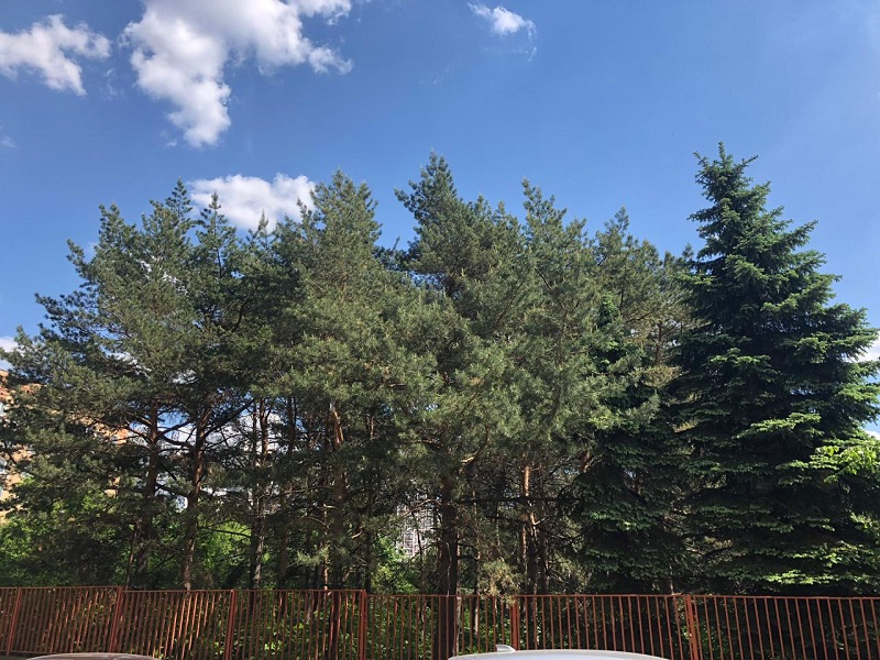 3-комнатная квартира, 81.3 м² - фото 17