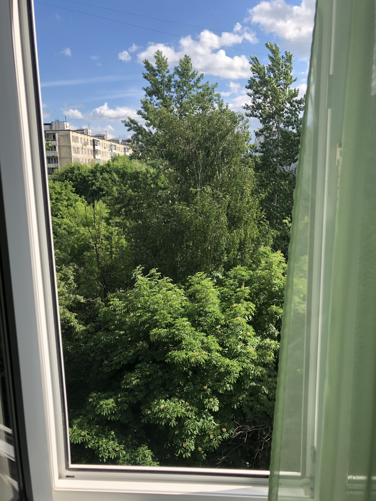 1-комнатная квартира, 33 м² - фото 6