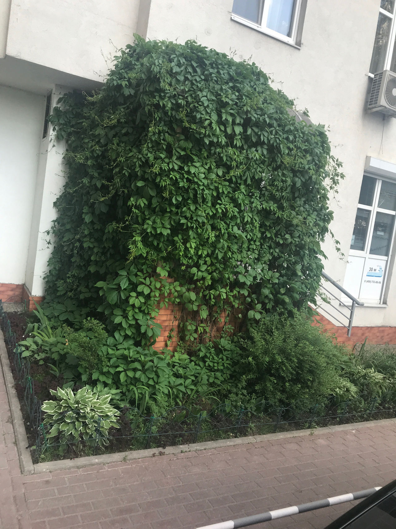 3-комнатная квартира, 101.7 м² - фото 26