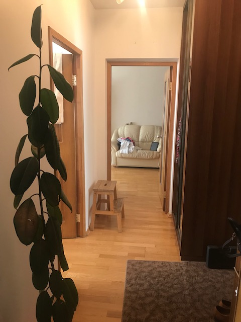 2-комнатная квартира, 56 м² - фото 5