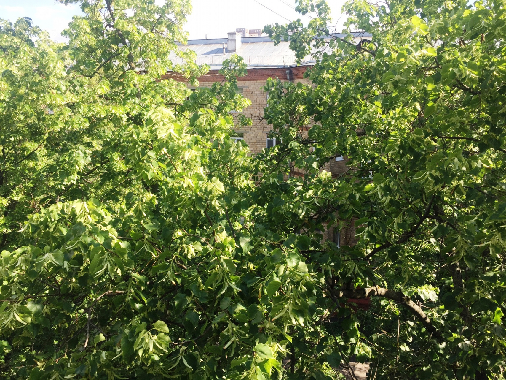 2-комнатная квартира, 43 м² - фото 10