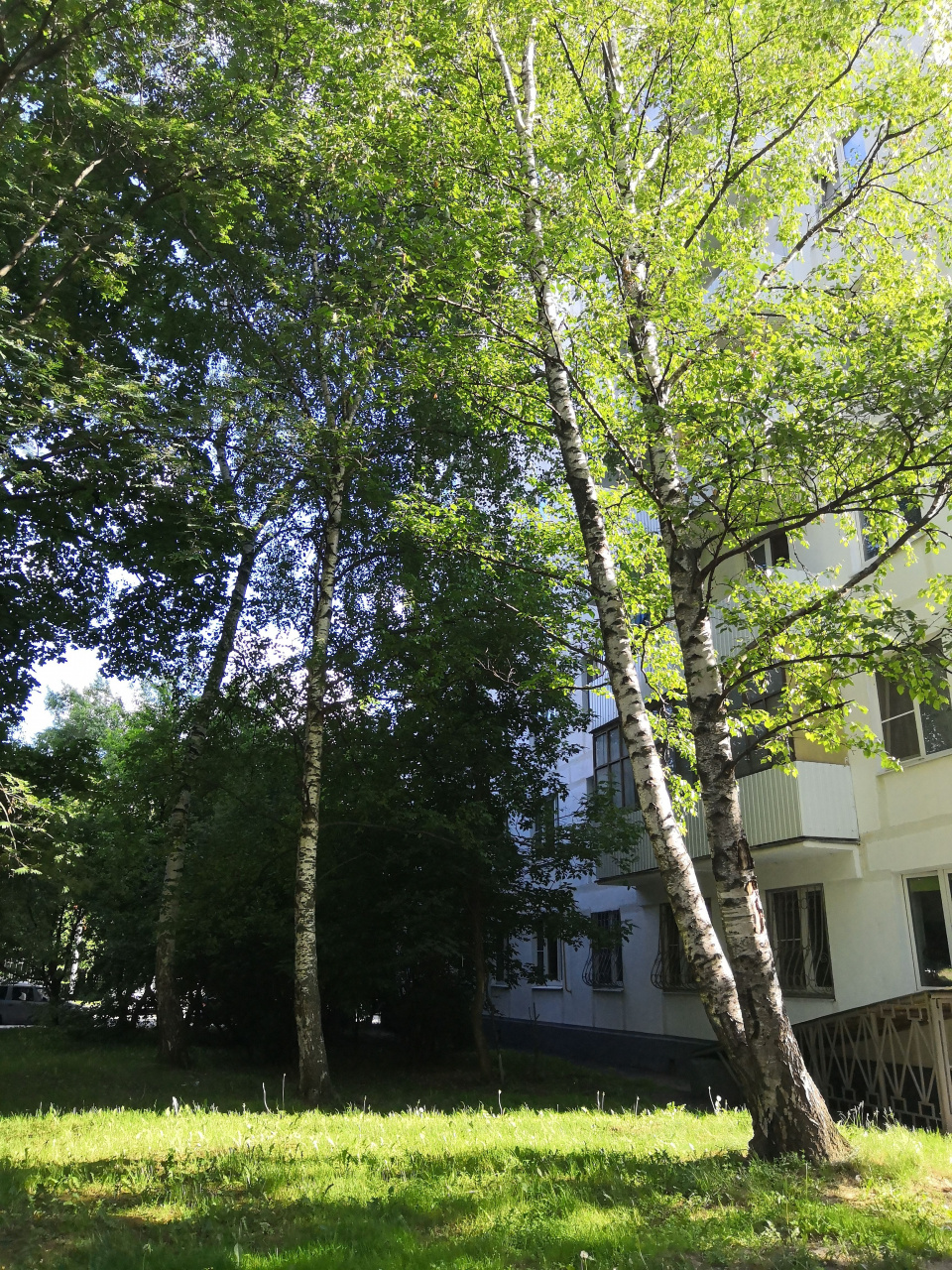 1-комнатная квартира, 35 м² - фото 12