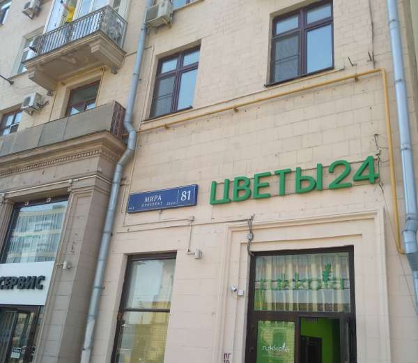 Фото квартиры