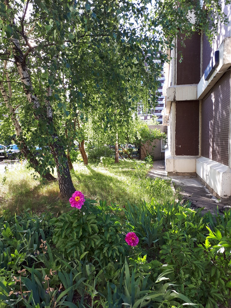 1-комнатная квартира, 52 м² - фото 20