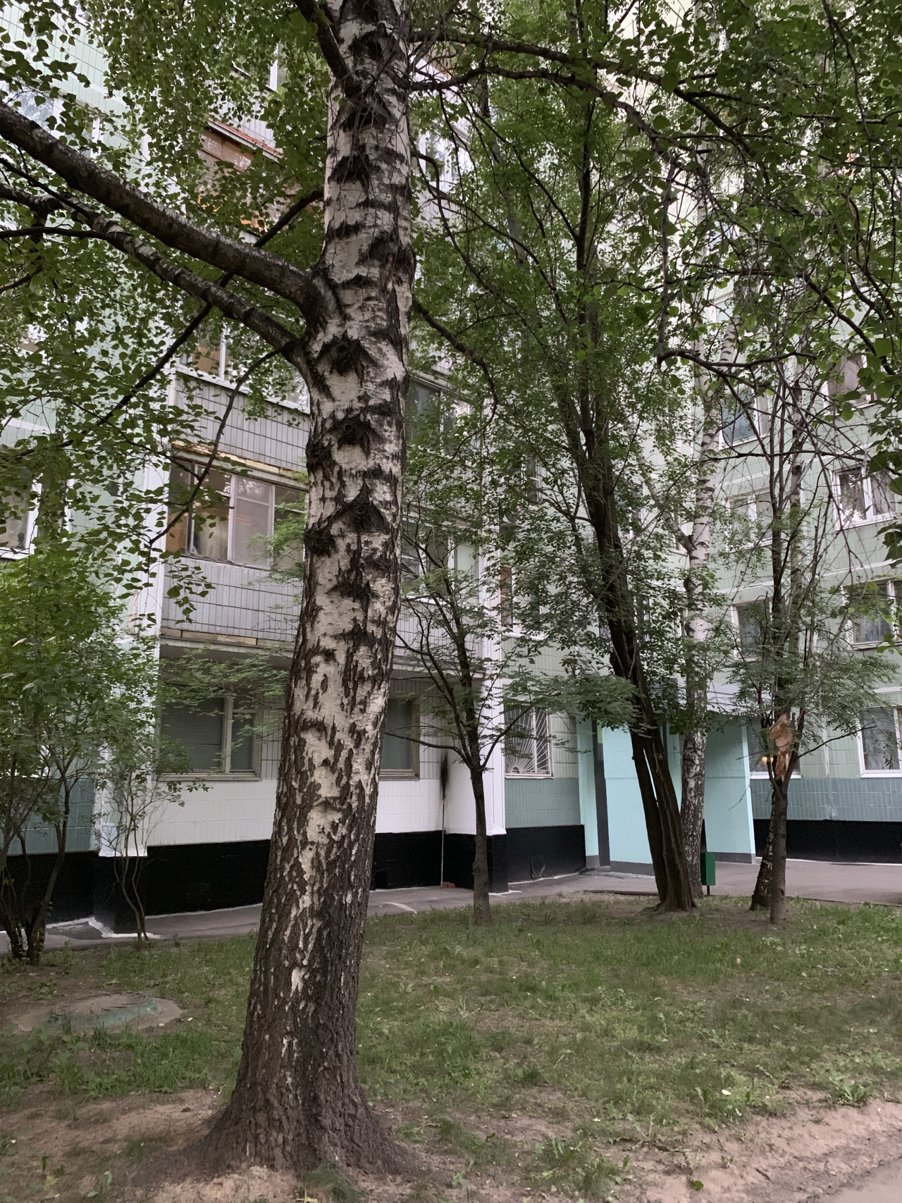 1-комнатная квартира, 37 м² - фото 2