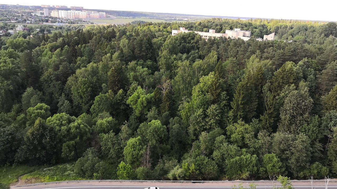 2-комнатная квартира, 53.6 м² - фото 5