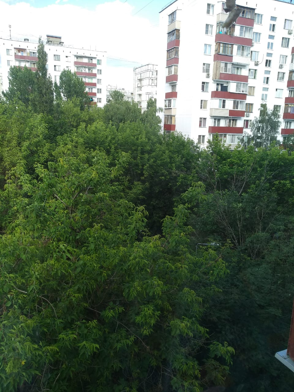 3-комнатная квартира, 65.3 м² - фото 17