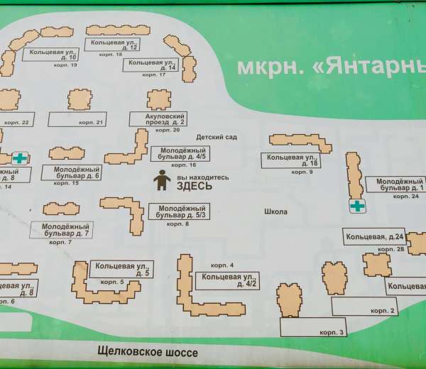 Янтарная карта регистрация