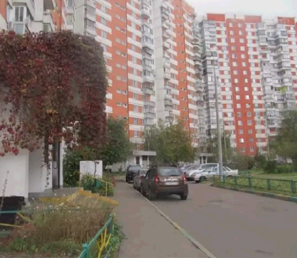 Купить Однокомнатную Квартиру Метро Новокосино Вторичка