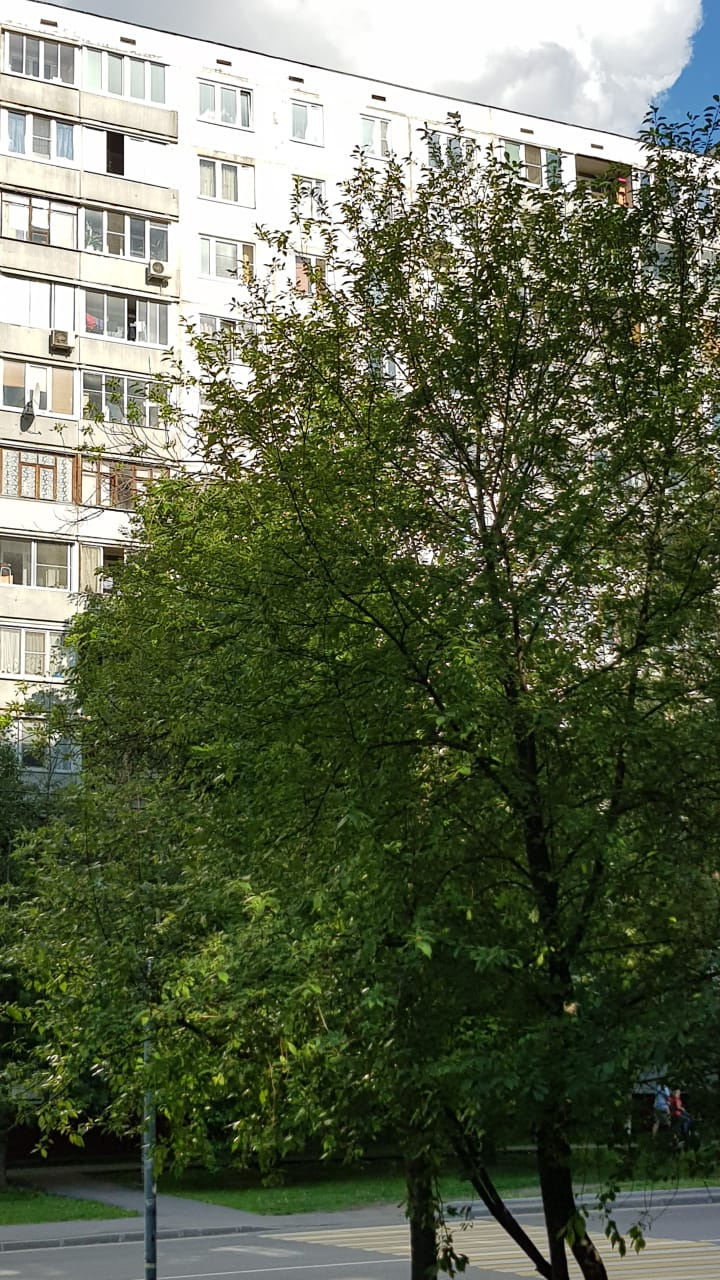 3-комнатная квартира, 62.5 м² - фото 2