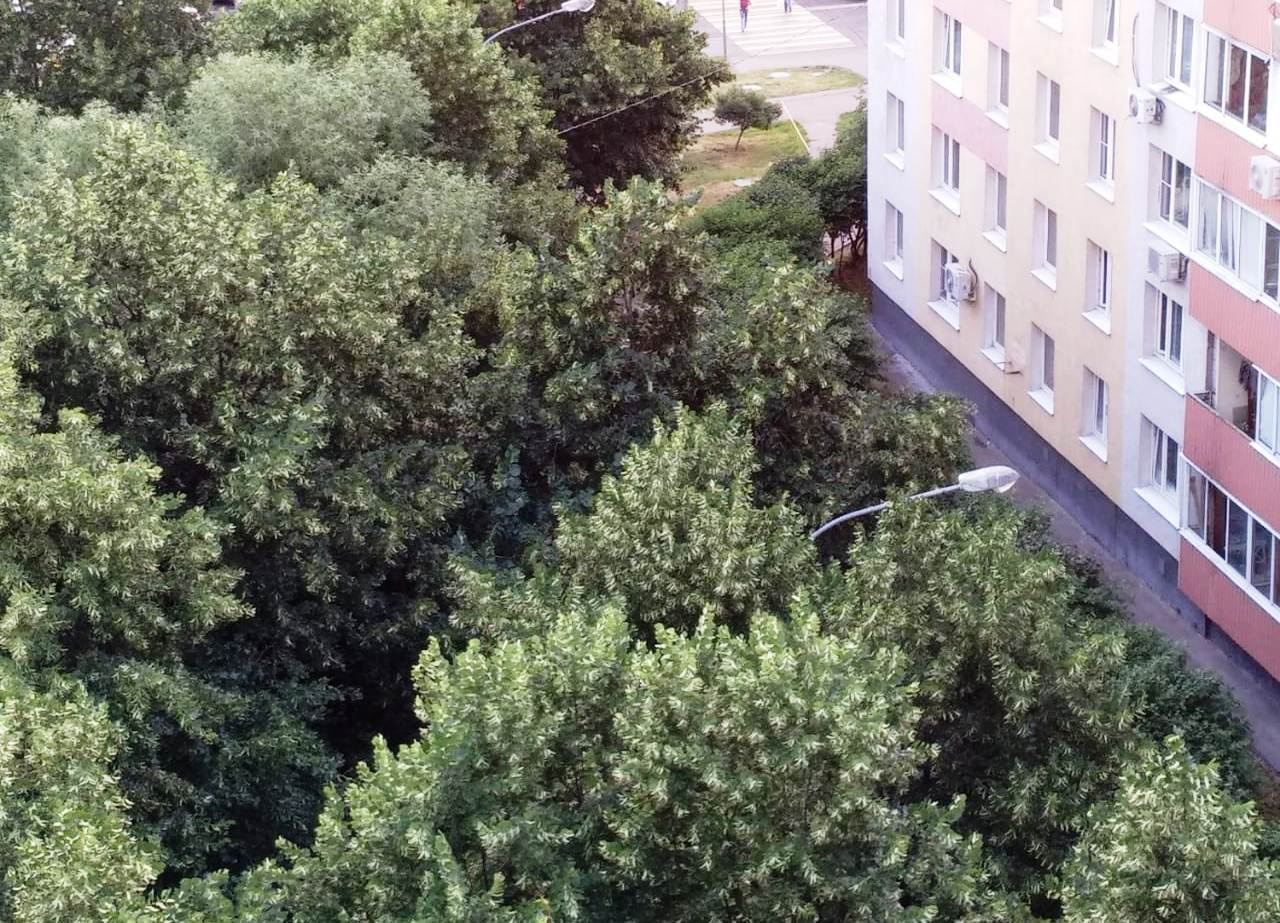 3-комнатная квартира, 58.6 м² - фото 16