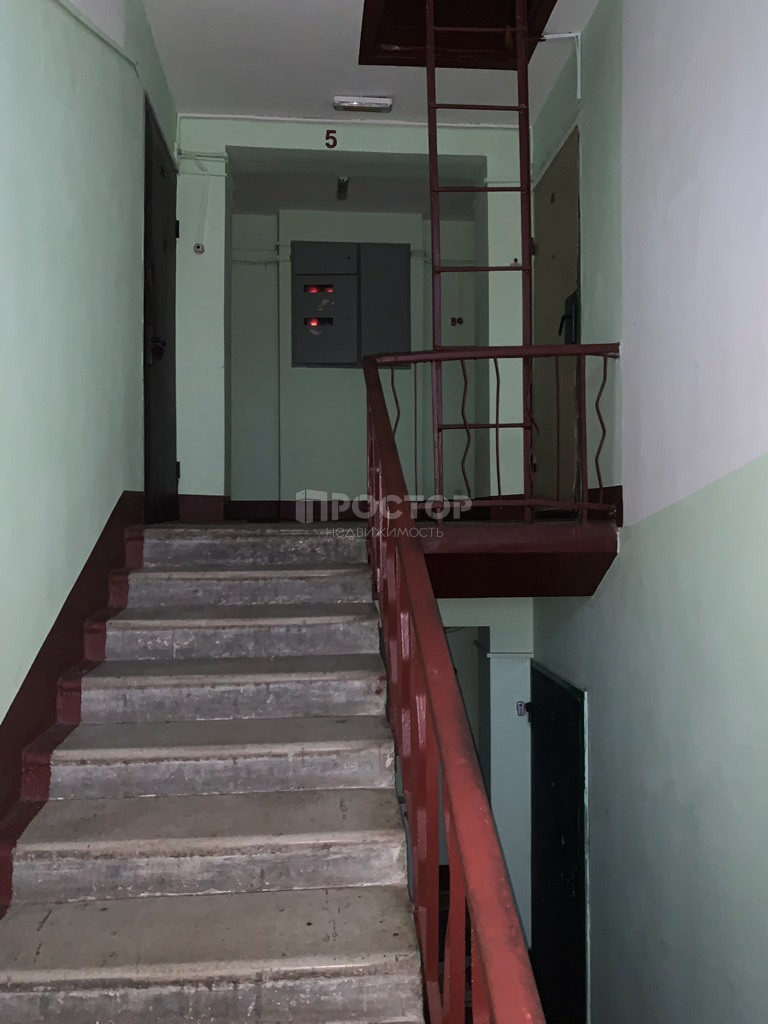 3-комнатная квартира, 56.7 м² - фото 19