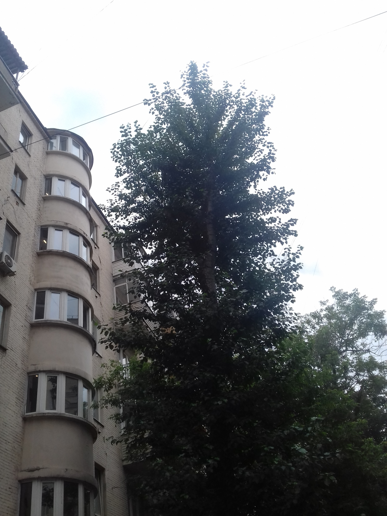 2-комнатная квартира, 51 м² - фото 18