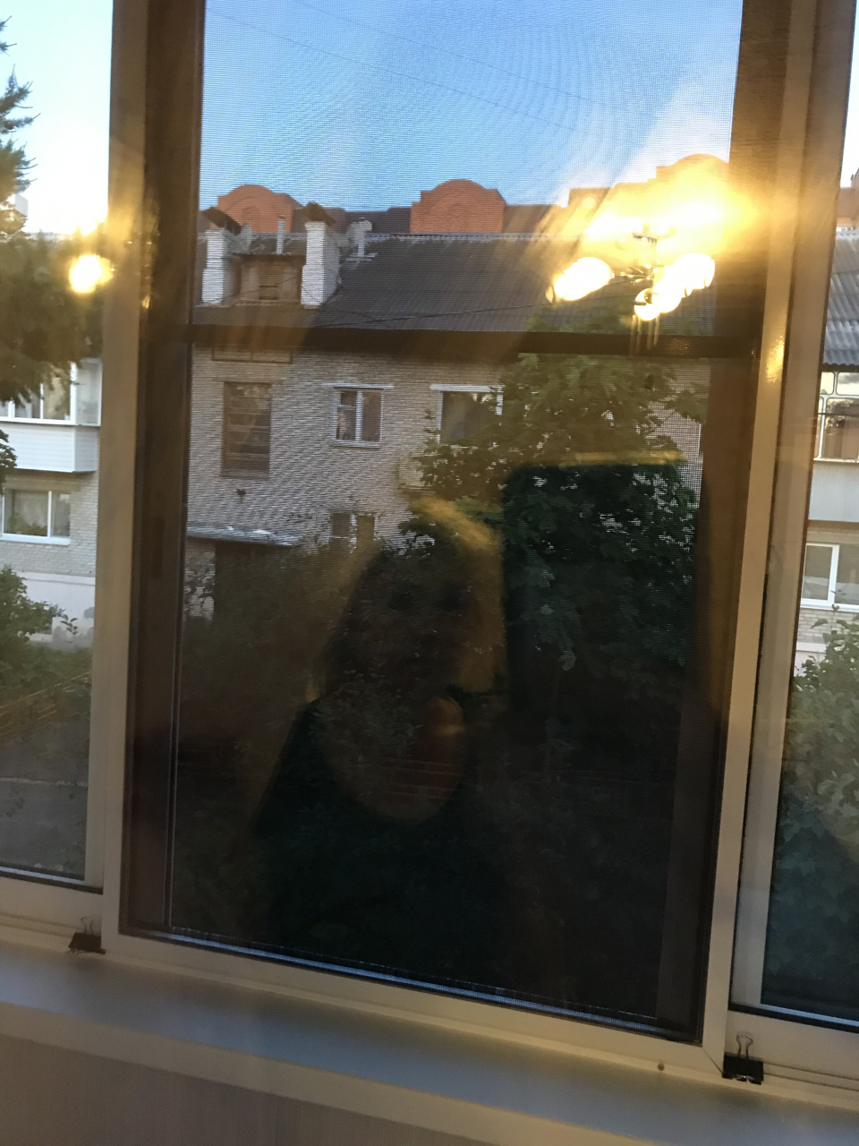 1-комнатная квартира, 30 м² - фото 4