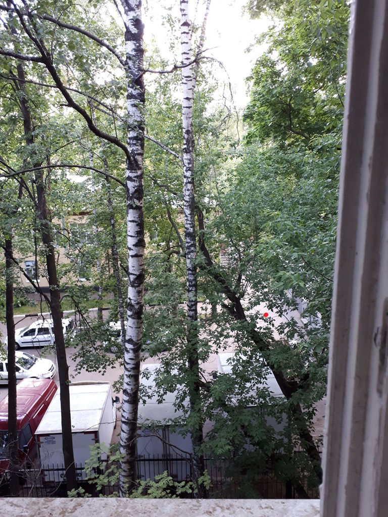 2-комнатная квартира, 53.5 м² - фото 4
