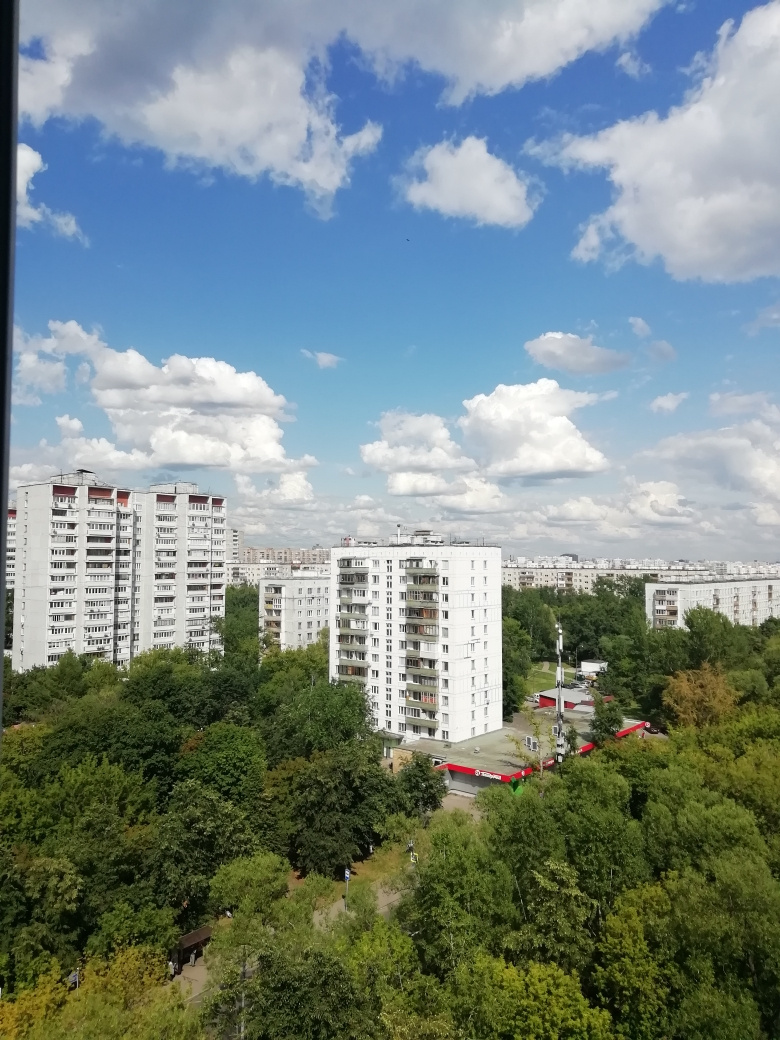 1-комнатная квартира, 34.8 м² - фото 3