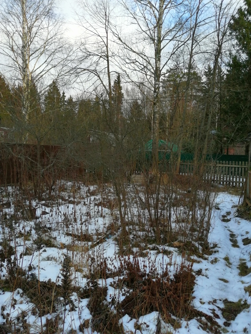 Участок, 8 сот. - фото 15