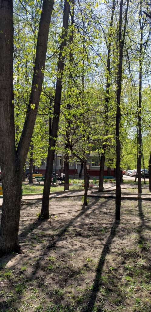 1-комнатная квартира, 32.6 м² - фото 17