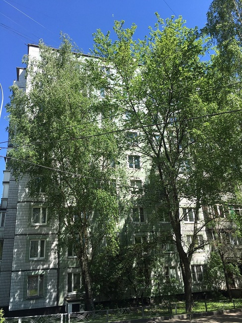 1-комнатная квартира, 32.5 м² - фото 2