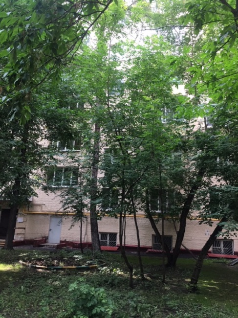 3-комнатная квартира, 65 м² - фото 24